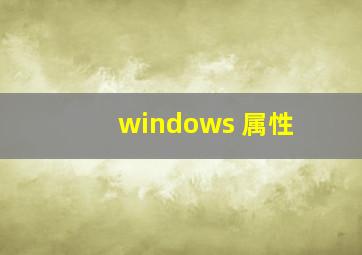 windows 属性